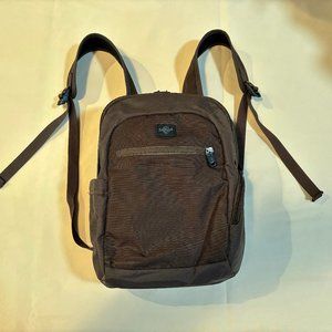 Eagle Creek Backpack